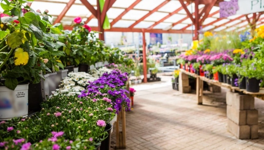 Gardenworld