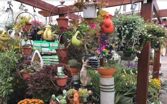Northroy Nursery