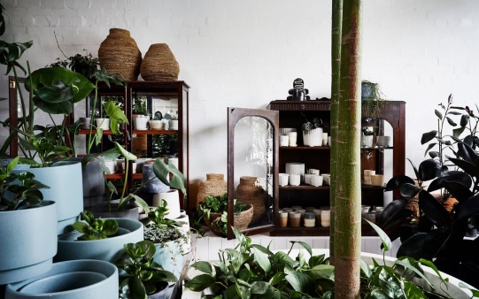 The Plant Society (Sydney)